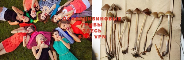 стафф Абаза