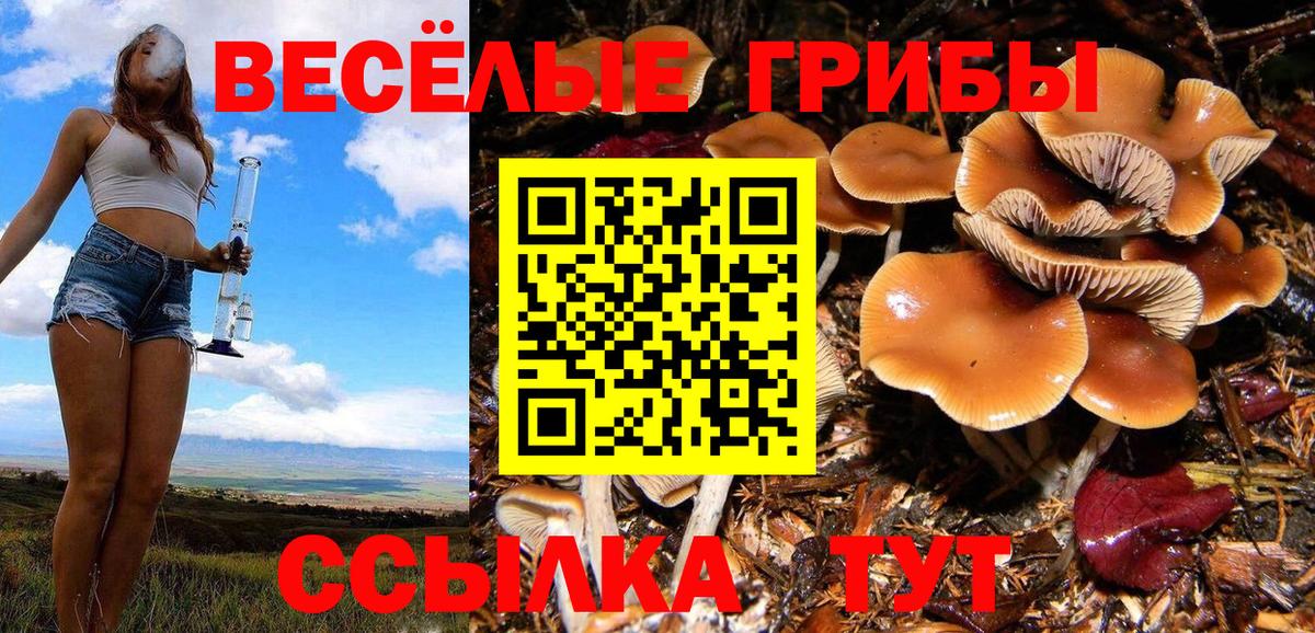 Галлюциногенные грибы ЛСД Дербент