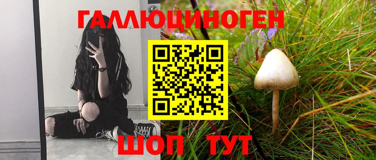 Дербент  Псилоцибиновые грибы Magic Shrooms  Вход с VPN  Псилоцибиновые грибы GOLDEN TEACHER 