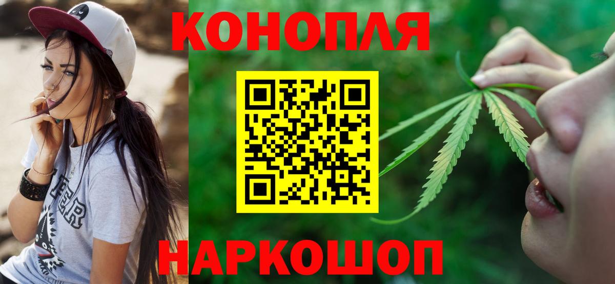 Каннабис марихуана  Бошки марихуана план  Бошки Шишки планчик  Дербент  Вход с VPN  Канабис тримм 